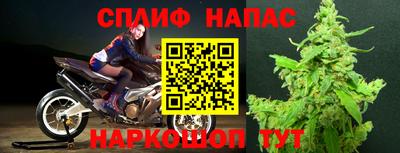 a pvp Будённовск