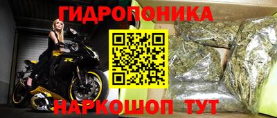 a pvp Будённовск